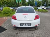 VW Beetle bei Reisemobile.expert - Abbildung (13 / 15)