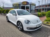 VW Beetle bei Reisemobile.expert - Abbildung (3 / 15)