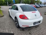 VW Beetle bei Reisemobile.expert - Abbildung (5 / 15) VW Beetle bei Reisemobile.expert - Abbildung (5 / 15)