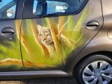 Toyota Aygo bei Reisemobile.expert - Abbildung (7 / 15)