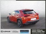 Lexus UX bei Reisemobile.expert - Abbildung (3 / 15)