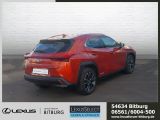 Lexus UX bei Reisemobile.expert - Abbildung (4 / 15)