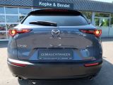 Mazda CX-30 bei Reisemobile.expert - Abbildung (4 / 15)