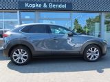 Mazda CX-30 bei Reisemobile.expert - Abbildung (6 / 15)