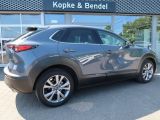 Mazda CX-30 bei Reisemobile.expert - Abbildung (5 / 15)