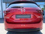 Mazda CX 5 bei Reisemobile.expert - Abbildung (8 / 15)