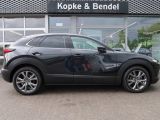 Mazda CX-30 bei Reisemobile.expert - Abbildung (4 / 15)