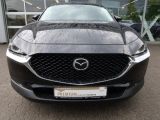 Mazda CX-30 bei Reisemobile.expert - Abbildung (5 / 15)