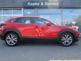 Mazda CX-30 bei Reisemobile.expert - Abbildung (4 / 15)