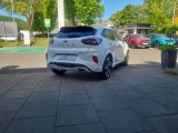 Ford Puma bei Reisemobile.expert - Abbildung (7 / 15)