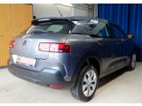 Citroen C4 Cactus bei Reisemobile.expert - Abbildung (5 / 15)