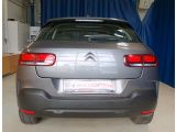 Citroen C4 Cactus bei Reisemobile.expert - Abbildung (4 / 15)