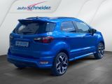 Ford EcoSport bei Reisemobile.expert - Abbildung (3 / 15)