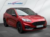 Ford Kuga bei Reisemobile.expert - Abbildung (2 / 15)