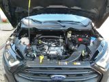 Ford EcoSport bei Reisemobile.expert - Abbildung (13 / 15)