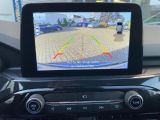 Ford Kuga bei Reisemobile.expert - Abbildung (15 / 15)