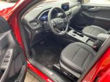 Ford Kuga bei Reisemobile.expert - Abbildung (10 / 15)