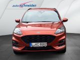 Ford Kuga bei Reisemobile.expert - Abbildung (2 / 15)