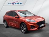 Ford Kuga bei Reisemobile.expert - Abbildung (3 / 15)