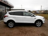 Ford Kuga bei Reisemobile.expert - Abbildung (5 / 15)