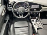 Alfa Romeo Giulia bei Reisemobile.expert - Abbildung (4 / 15)