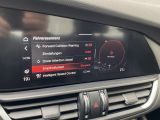 Alfa Romeo Giulia bei Reisemobile.expert - Abbildung (15 / 15)