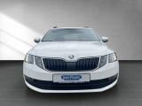 Skoda Octavia bei Reisemobile.expert - Abbildung (2 / 15)
