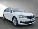Skoda Octavia bei Reisemobile.expert - Abbildung (5 / 15)