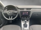 Skoda Octavia bei Reisemobile.expert - Abbildung (4 / 15)