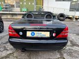 Mercedes-Benz SLK-Klasse bei Reisemobile.expert - Abbildung (6 / 15)