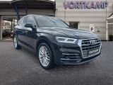 Audi Q5 bei Reisemobile.expert - Abbildung (3 / 15)