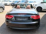 Audi A5 bei Reisemobile.expert - Abbildung (5 / 15)
