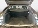 Audi SQ5 bei Reisemobile.expert - Abbildung (10 / 12)