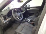 Audi Q5 bei Reisemobile.expert - Abbildung (4 / 10)