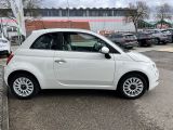 Fiat 500 bei Reisemobile.expert - Abbildung (6 / 15) Fiat 500 bei Reisemobile.expert - Abbildung (6 / 15)