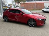 Mazda 3 bei Reisemobile.expert - Abbildung (5 / 14)
