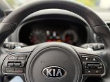 Kia Sportage bei Reisemobile.expert - Abbildung (13 / 15)