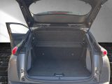 Peugeot 2008 bei Reisemobile.expert - Abbildung (14 / 15)