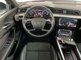 Audi e-tron bei Reisemobile.expert - Abbildung (9 / 15)