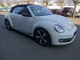 VW Beetle bei Reisemobile.expert - Abbildung (3 / 10)