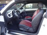 VW Beetle bei Reisemobile.expert - Abbildung (10 / 10)