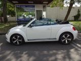 VW Beetle bei Reisemobile.expert - Abbildung (6 / 10)