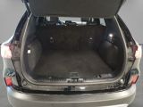 Ford Kuga bei Reisemobile.expert - Abbildung (14 / 14)