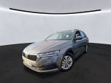 Skoda Octavia bei Reisemobile.expert - Abbildung (4 / 6)