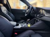Alfa Romeo Giulia bei Reisemobile.expert - Abbildung (4 / 15)