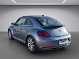VW Beetle bei Reisemobile.expert - Abbildung (3 / 15)