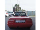 Alfa Romeo Spider bei Reisemobile.expert - Abbildung (11 / 15)