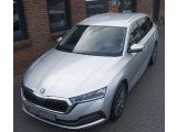 Skoda Octavia bei Reisemobile.expert - Abbildung (4 / 15)