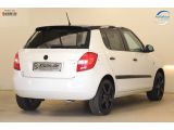 Skoda Fabia bei Reisemobile.expert - Abbildung (6 / 15)