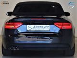 Audi A5 Cabriolet bei Reisemobile.expert - Abbildung (7 / 15)